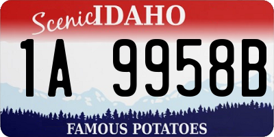 ID license plate 1A9958B