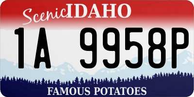 ID license plate 1A9958P