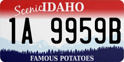 ID license plate 1A9959B