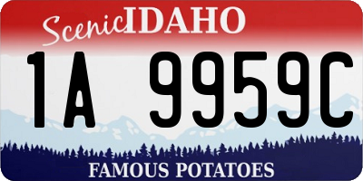 ID license plate 1A9959C