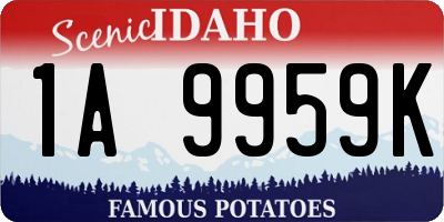 ID license plate 1A9959K