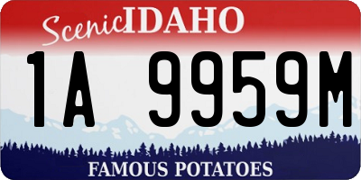 ID license plate 1A9959M
