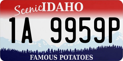 ID license plate 1A9959P
