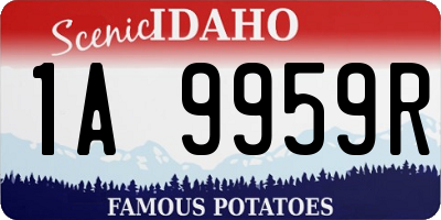 ID license plate 1A9959R