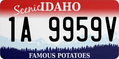 ID license plate 1A9959V