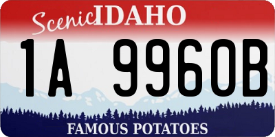 ID license plate 1A9960B