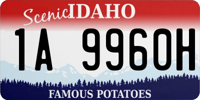 ID license plate 1A9960H