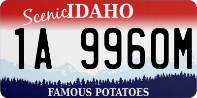 ID license plate 1A9960M