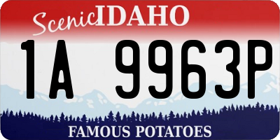 ID license plate 1A9963P