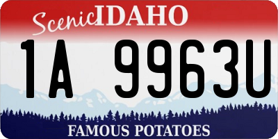 ID license plate 1A9963U