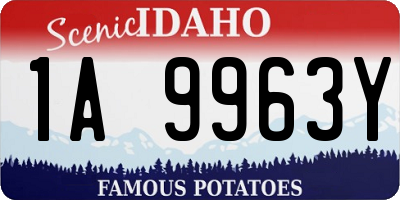 ID license plate 1A9963Y