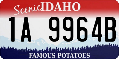 ID license plate 1A9964B