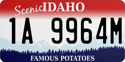 ID license plate 1A9964M