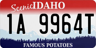 ID license plate 1A9964T