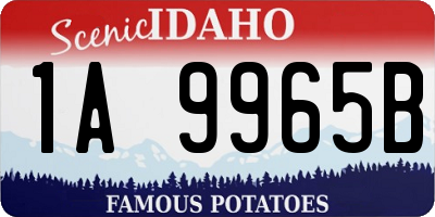 ID license plate 1A9965B