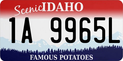 ID license plate 1A9965L