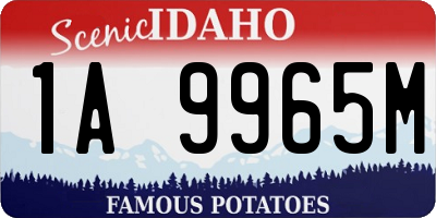 ID license plate 1A9965M