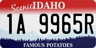 ID license plate 1A9965R