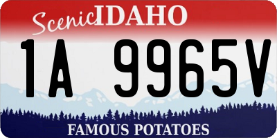 ID license plate 1A9965V
