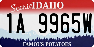 ID license plate 1A9965W