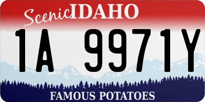 ID license plate 1A9971Y