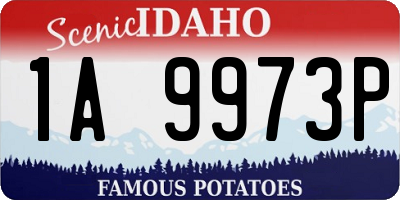 ID license plate 1A9973P