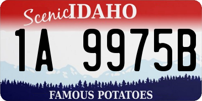 ID license plate 1A9975B