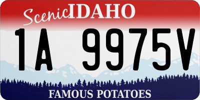 ID license plate 1A9975V