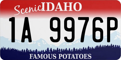 ID license plate 1A9976P