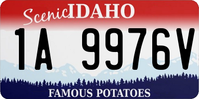 ID license plate 1A9976V