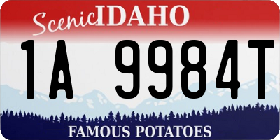 ID license plate 1A9984T