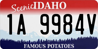ID license plate 1A9984V