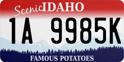 ID license plate 1A9985K