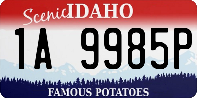 ID license plate 1A9985P