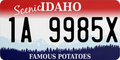ID license plate 1A9985X