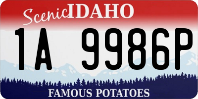 ID license plate 1A9986P