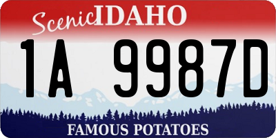ID license plate 1A9987D