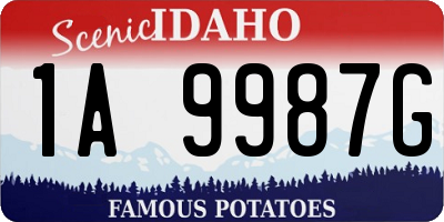 ID license plate 1A9987G