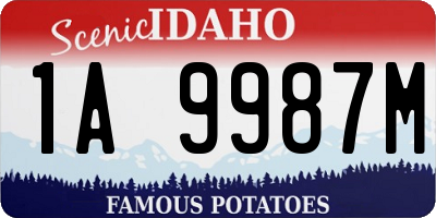ID license plate 1A9987M