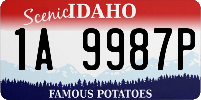 ID license plate 1A9987P