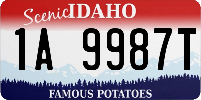 ID license plate 1A9987T