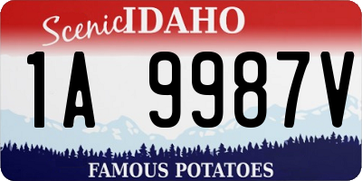 ID license plate 1A9987V