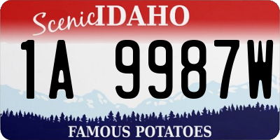 ID license plate 1A9987W