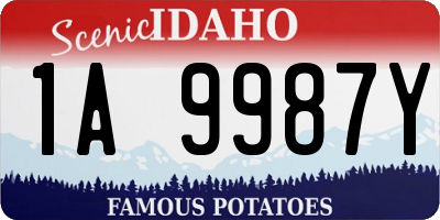 ID license plate 1A9987Y