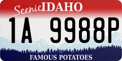 ID license plate 1A9988P