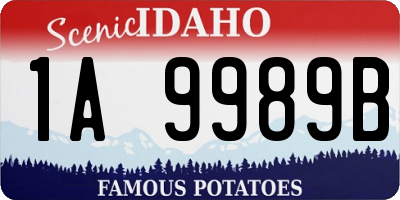 ID license plate 1A9989B