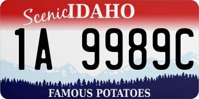ID license plate 1A9989C