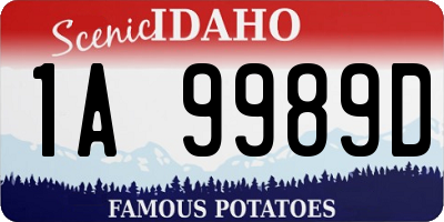 ID license plate 1A9989D