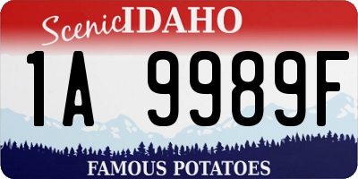 ID license plate 1A9989F