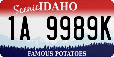 ID license plate 1A9989K